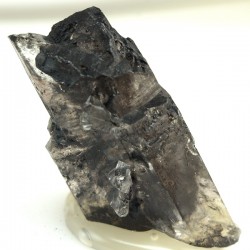 Selenite lignite (4X4) gypsum.